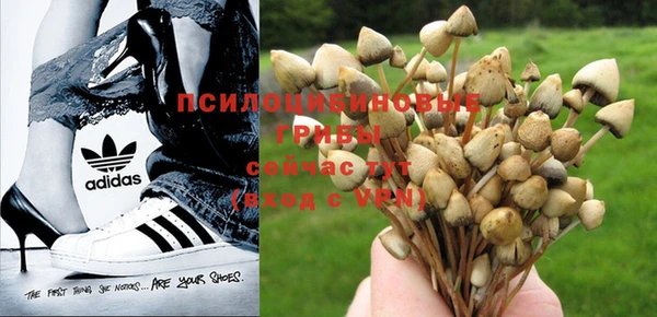 дурь Алзамай