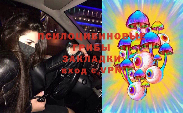 дурь Алзамай