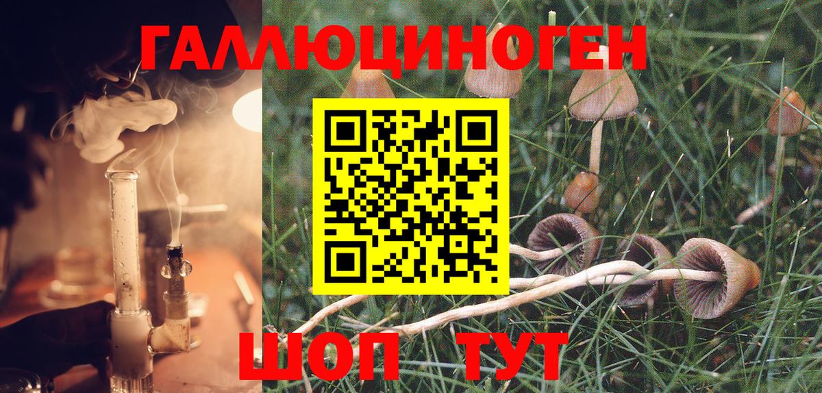 Псилоцибиновые грибы Magic Shrooms Сатка
