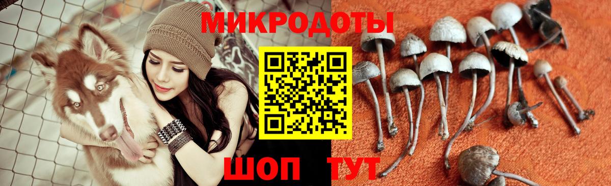 Галлюциногенные грибы Cubensis  Вход с VPN  Галлюциногенные грибы GOLDEN TEACHER  Сатка 